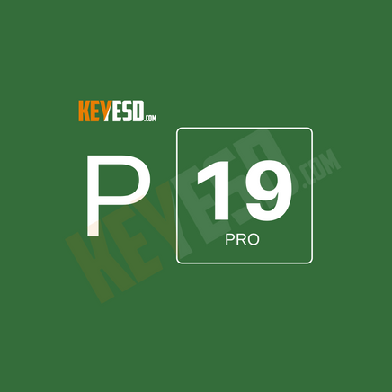 Microsoft Project 2019 Professional Key Esd [Global] - keyesd